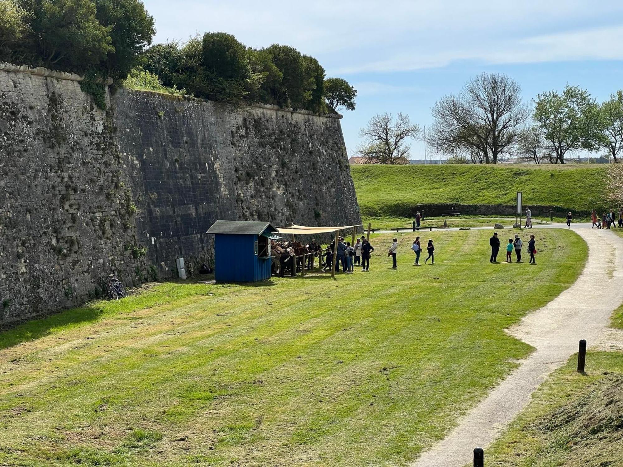 Les Amareyeurs - Ile D'Oleron - Maison Classee 3 Etoiles Avec Piscine - Clim - Velos Le Château-dʼOléron Buitenkant foto